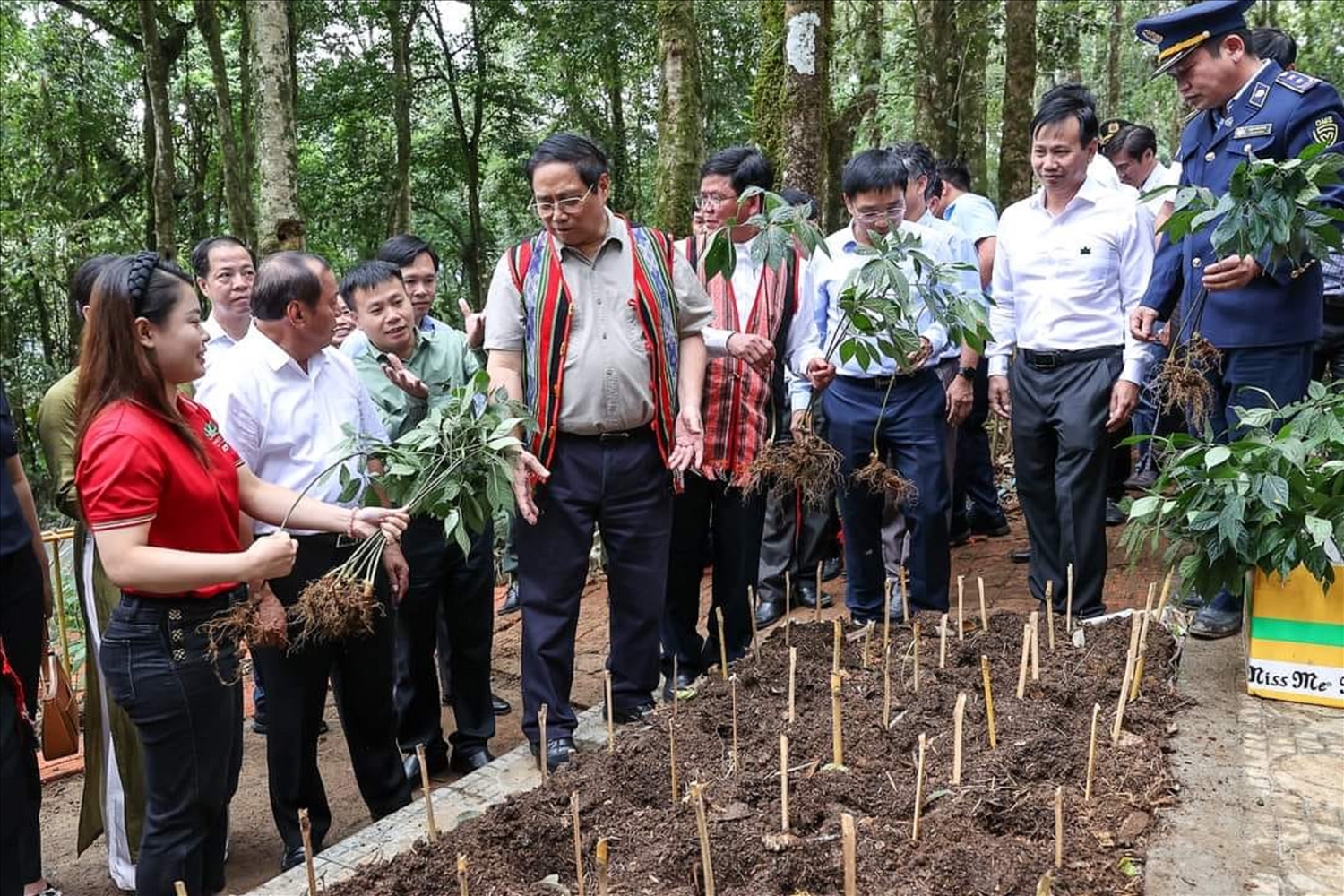 : Thủ tướng Phạm Minh Chính thăm vườn sâm Ngọc Linh dưới tán rừng tại huyện Tu Mơ Rông (Kon Tum) tháng 8/2023.