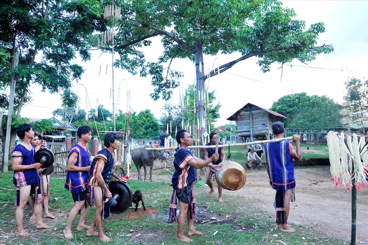 Tiếng cồng tiếng chiêng được vang lên trong suốt 3 ngày đêm họ cùng ăn, uống rượu, múa xoang không biết mỏi chân, mỏi tay để thức cùng trâu