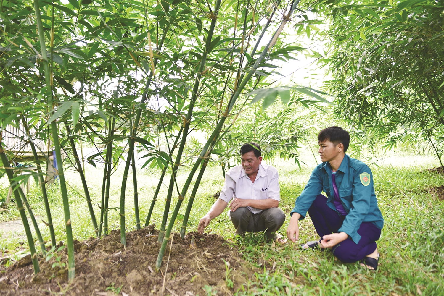 Ông Thành (người bên trái) giới thiệu, hướng dẫn người dân trong thôn về kỹ thuật trồng, chăm sóc tre Lục Trúc.