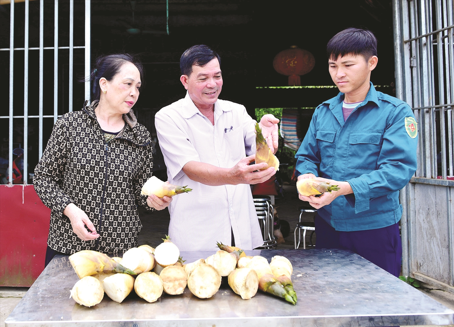 Ông Ngô Ngọc Thành (người ở giữa) cho biết, thu hoạch măng đúng cách vừa giúp nâng cao chất lượng giá trị dinh dưỡng của măng, vừa giúp tre ra măng đều đặn.