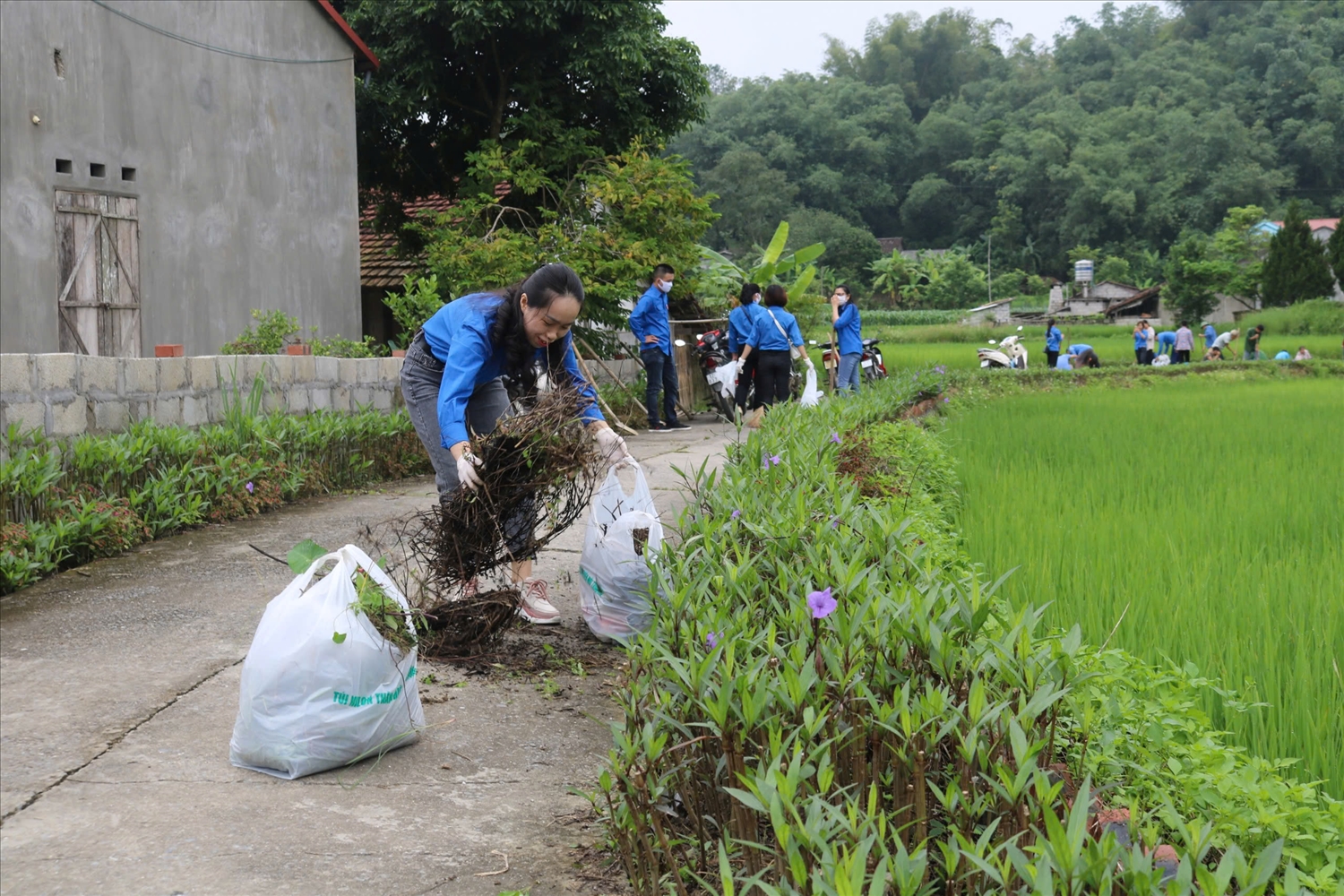 Đoàn viên, thanh niên tham gia dọn dẹp đường nông thôn mới xã Tú Xuyên, huyện Văn Quan.