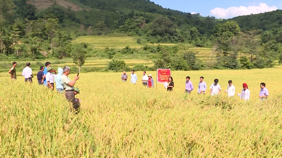 (BÀI CHUYÊN ĐỀ ĐIỆN BIÊN) Điện Biên: Tăng tốc thực hiện Chương trình MTQG 1719 3