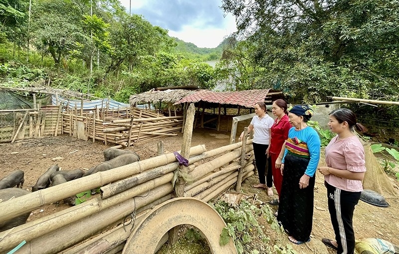 Đội ngũ Người có uy tín ở các thôn bản của huyện Quan Hóa đã phát huy vai trò trong công tác tuyên truyền vận động người dân tham gia phát triển kinh tế, góp sức xây dựng quê hương