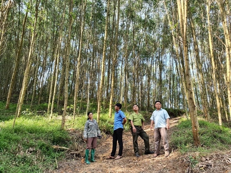 Toàn huyện Sơn Động hiện có trên 66.000ha diện tích rừng, đất lâm nghiệp, cơ bản đã được giao cho người dân và chủ rừng.