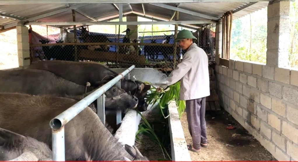 (Ban Chuyên đề - Tin CĐ Ban Dân tộc Cao Bằng) Cao Bằng: Chủ động ứng phó với đợt rét đầu mùa