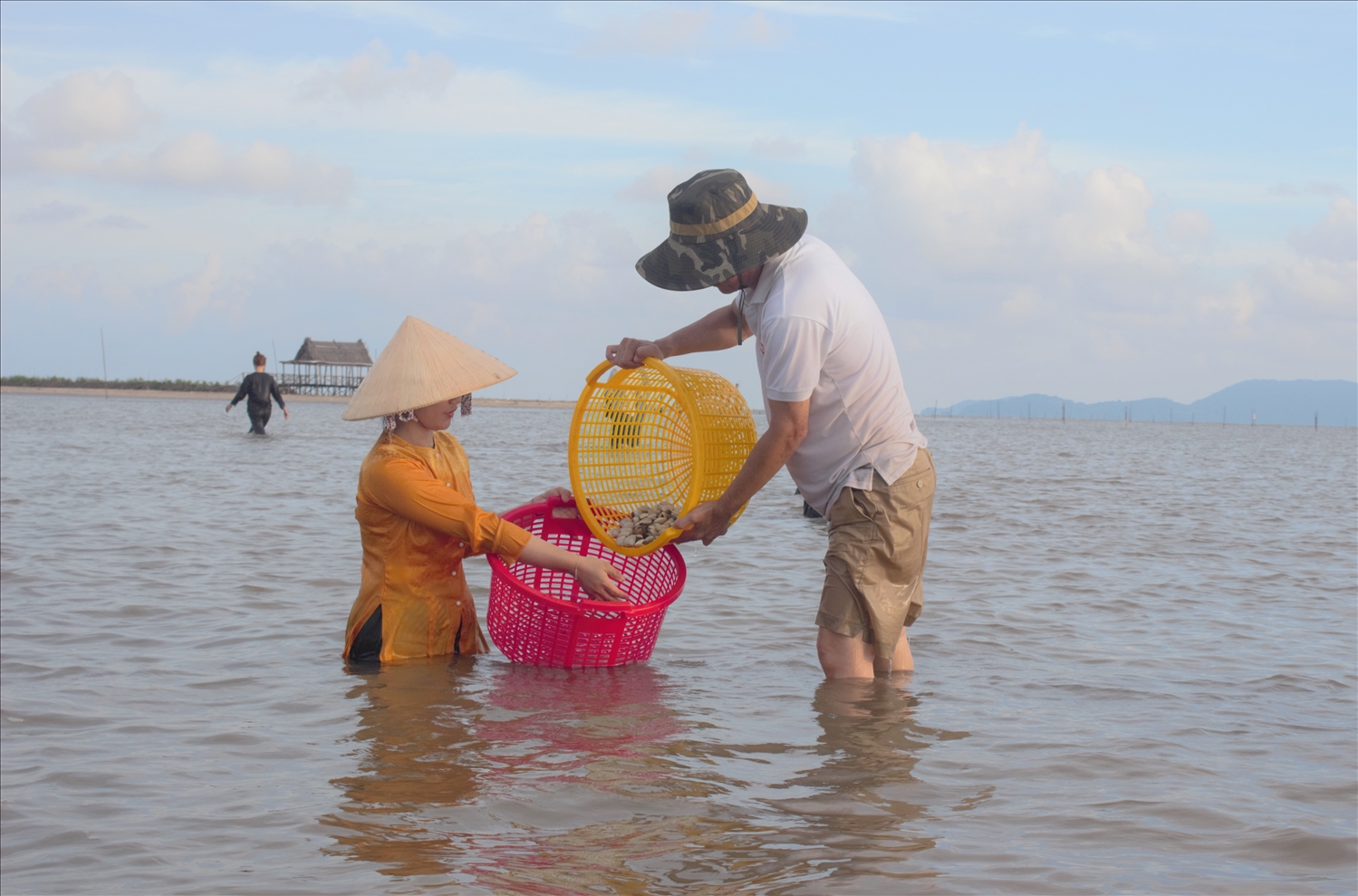 Trải nghiệm khai thác nghêu thương phẩm của Hợp tác xã Nghêu Đất Mũi