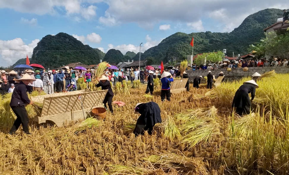 Lễ hội mùa vàng Bắc Sơn 2024 thu hút đông đảo du khách đến trải nghiệm