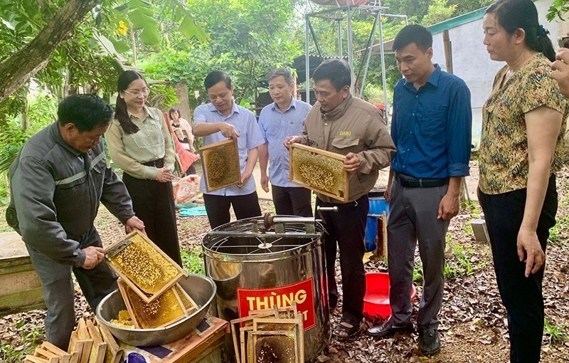 Hội Nông dân tỉnh Thanh Hóa hướng dẫn, hỗ trợ HTX Ong mật Thành Kim (Thạch Thành) ứng dụng công nghệ số vào sản xuất, đăng ký thương hiệu, nhãn hiệu và đưa các nông sản lên sàn thương mại điện tử.