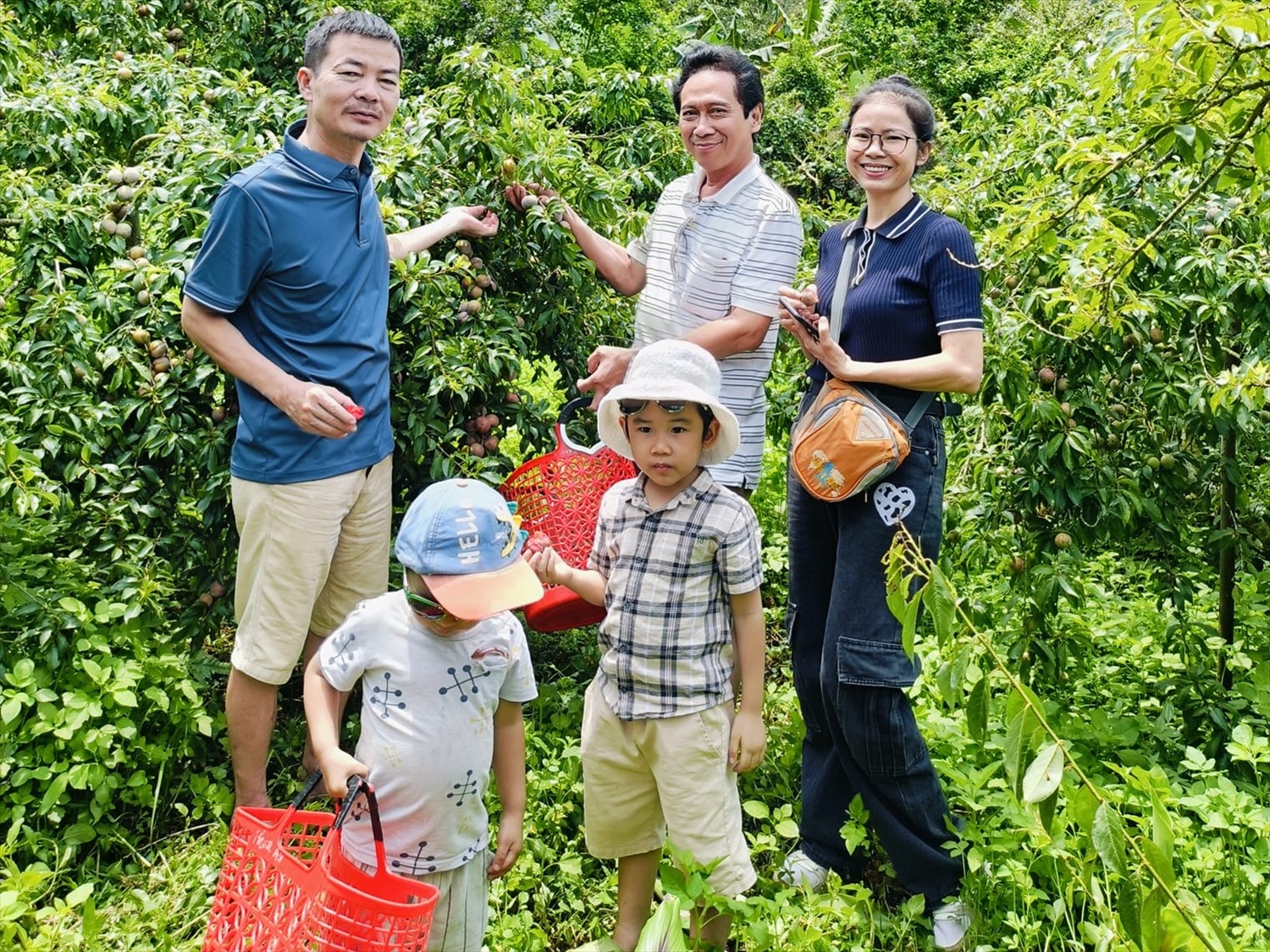 Bắc Hà (Lào Cai): Lấy nông nghiệp làm nền tảng phát triển du lịch 1