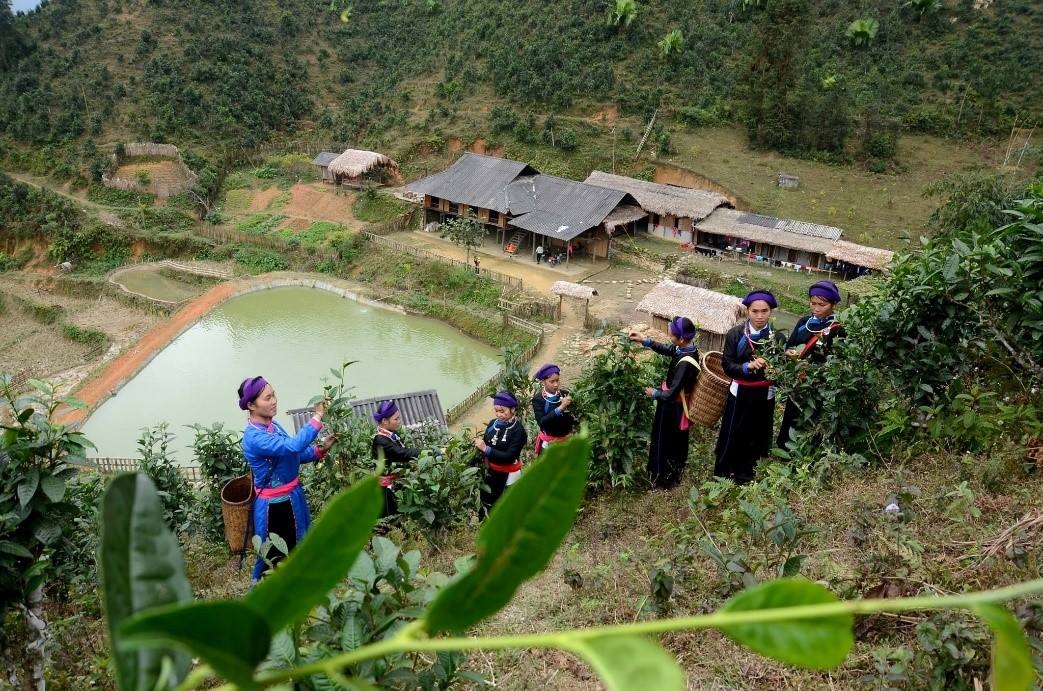 ""Mô hình du lịch cộng đồng thôn Đội 3, xã Bản Liền, huyện Bắc Hà gắn với dân tộc Tày sẽ được đầu tư theo Đề án Phát triển du lịch cộng đồng gắn với xây dựng nông thôn mới trên địa bàn tỉnh Lào Cai đến năm 2030” được phê duyệt tại Quyết định số 2247/QĐ-UBND ngày 05/9/2024 của UBND tỉnh Lào Cai.