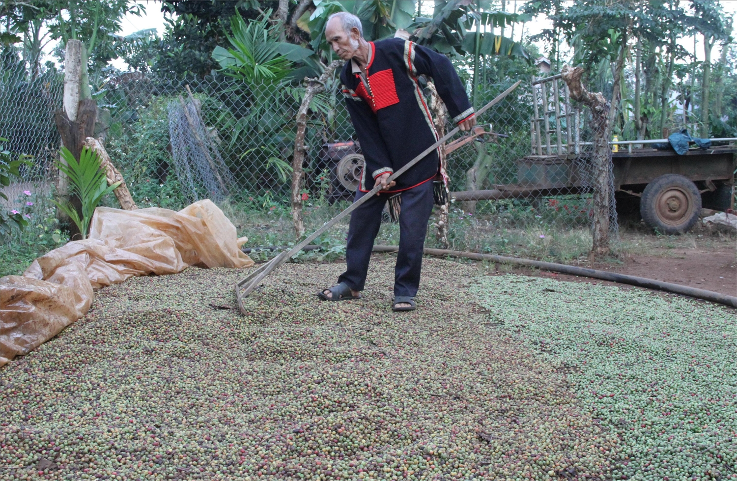 Già Y Om vẫn tích cực phát triển kinh tế gia đình