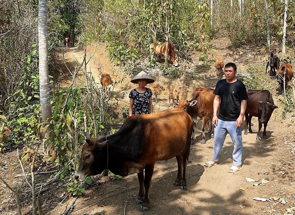 Mường Lát hiện đang có nhiều mô hình phát triển kinh tế mang lại hiệu quả từ sự hỗ trợ của Nhà nước