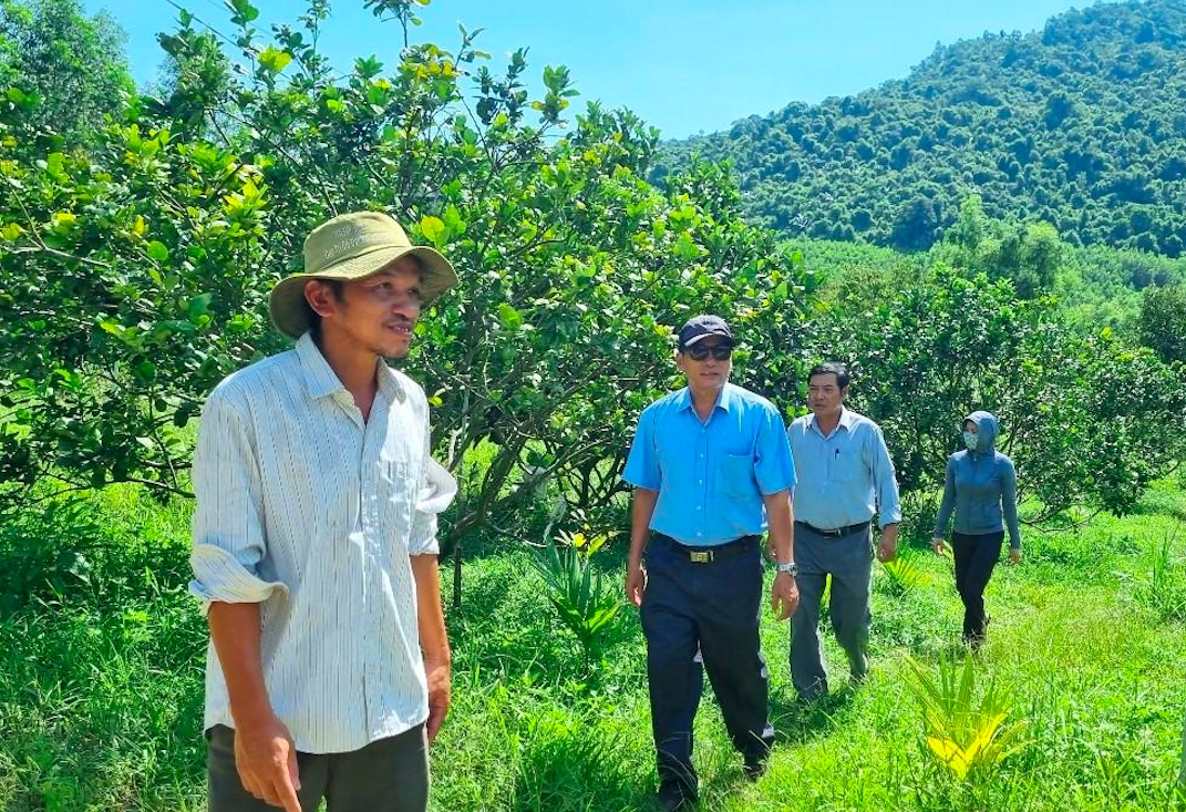 Các địa phương miền núi Quảng Ngãi tập trung hỗ trợ người dân phát triển nhiều mô hình kinh tế hiệu quả