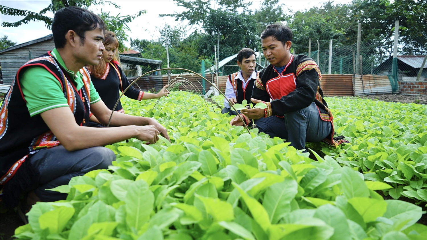 Anh Kpă Séo (bên phải ảnh) là tấm gương tiêu biểu của tuổi trẻ người DTTS về phát huy tinh thần sáng tạo, vượt khó để lập thân, lập nghiệp thành công