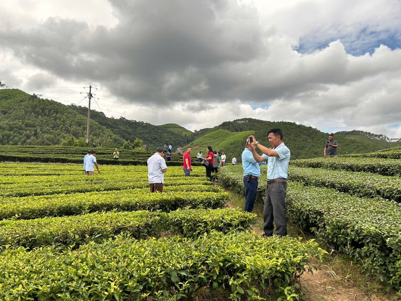 Đoàn đại biểu Người có uy tín thăm quy trình chế biến và sản xuất chè của Công ty Cổ phần chè Thái Bình Lạng Sơn (tại thị trấn Nông trường Thái Bình) huyện Đình Lập