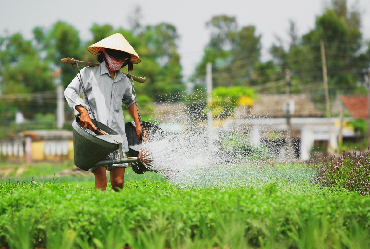 Việc được công nhận Làng du lịch tốt nhất thế giới giúp du lịch Hội An phát triển, thu nhập người dân được cải thiện.