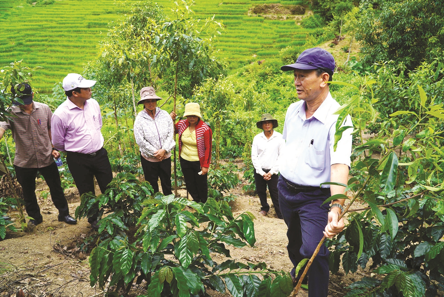 Bí thư Tỉnh ủy Kon Tum Dương Văn Trang (ngoài cùng bên phải) kiểm tra mô hình hỗ trợ đồng bào DTTS ở thôn Làng Mới, xã Mường Hoong, huyện Đăk Glei trồng cà phê xứ lạnh.