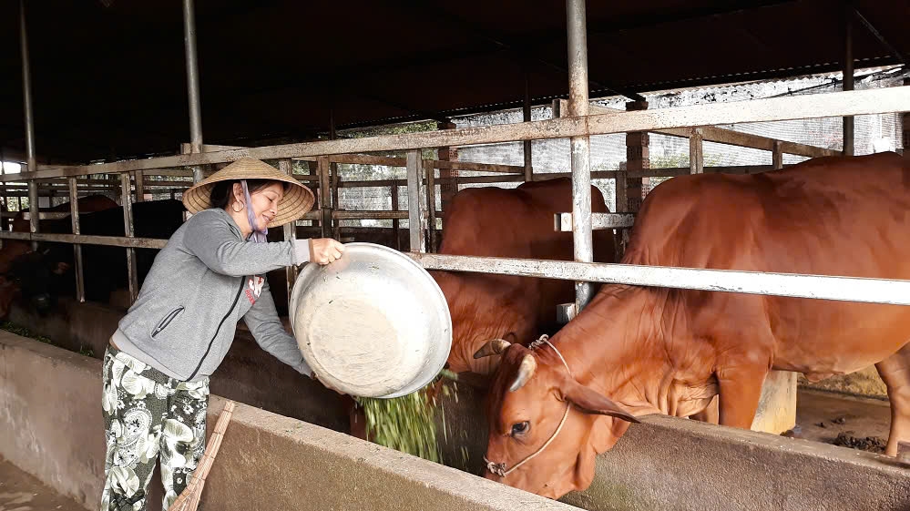 Công tác tuyên truyền đang góp phần tích cực vào phong trào thi đua giảm nghèo tại địa phương. 