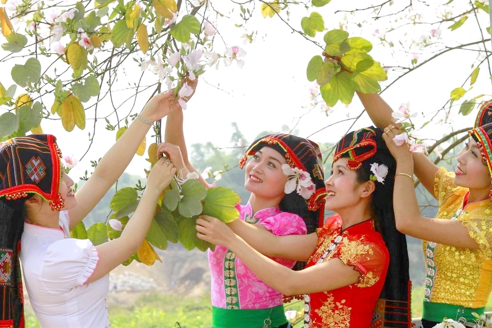 Thiếu nữ dân tộc Thái diện váy áo xúng xính chụp ảnh, check – in cùng hoa ban.