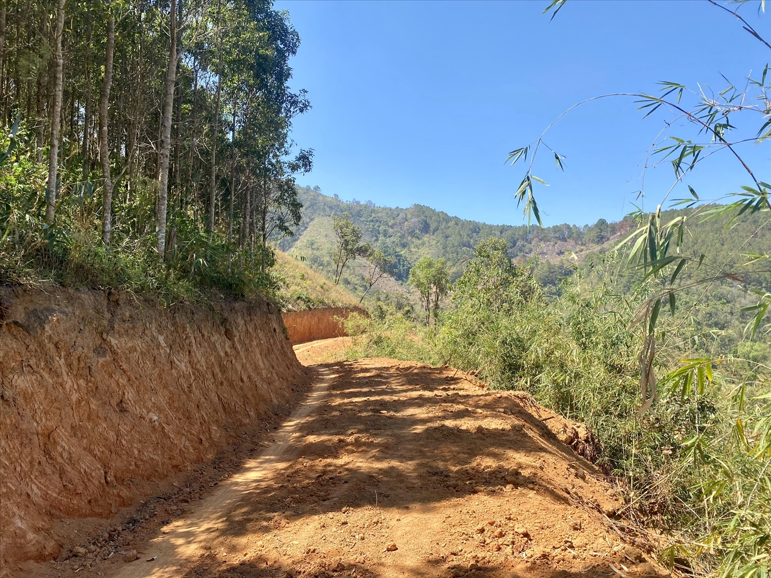 Người dân tự mở đường vào tận khu vực gần rừng thuộc thôn Krong Đuân, xã Đăk Pxi