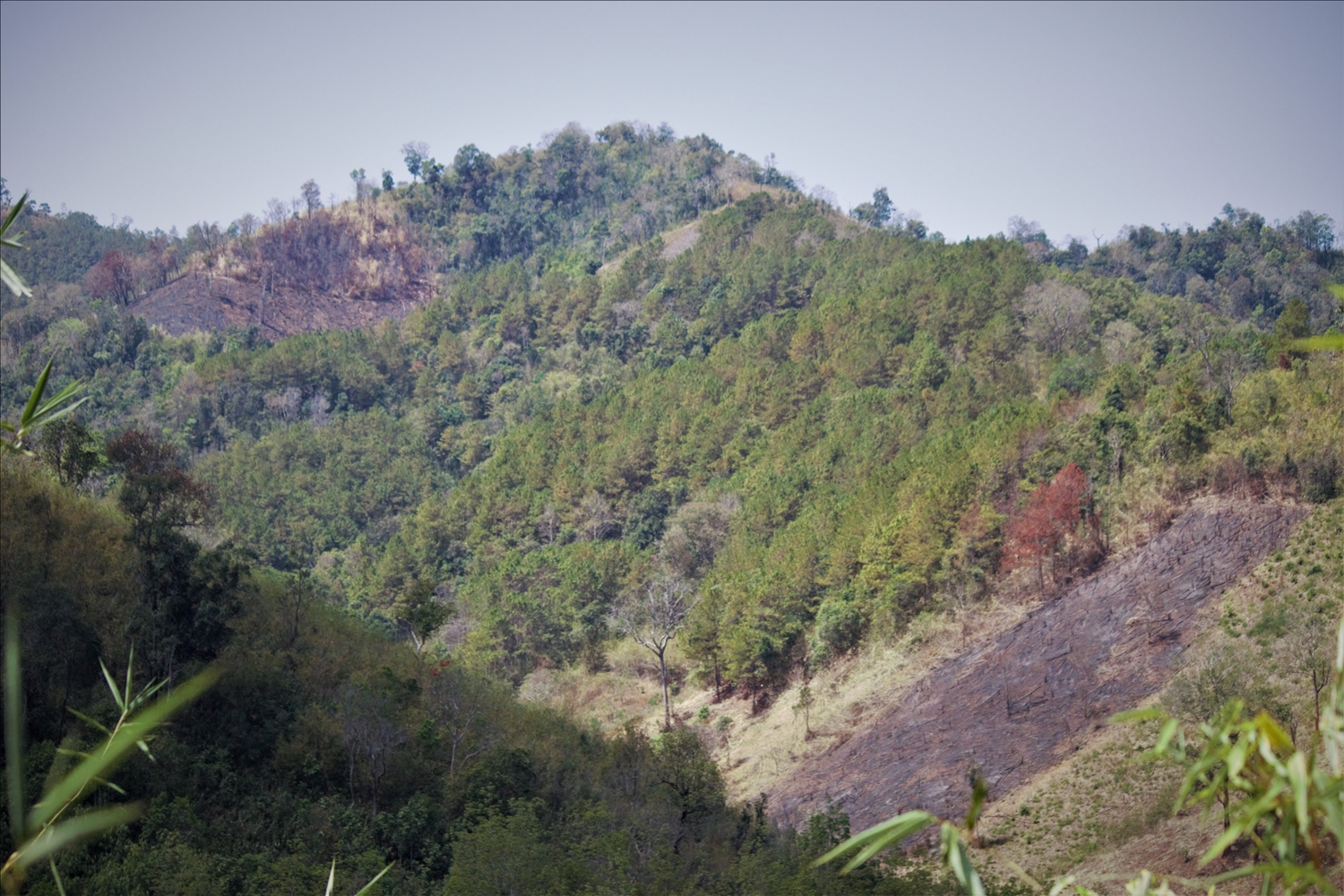 Xã Đăk Pxi là nơi có đông đồng bào DTTS sinh sống, nếu như không có sự vào cuộc quyết liệt của chính quyền địa phương, ngành chức năng thì tình trạng phát, đốt rừng làm nương rẫy sẽ tiếp tục diễn biến phức tạp