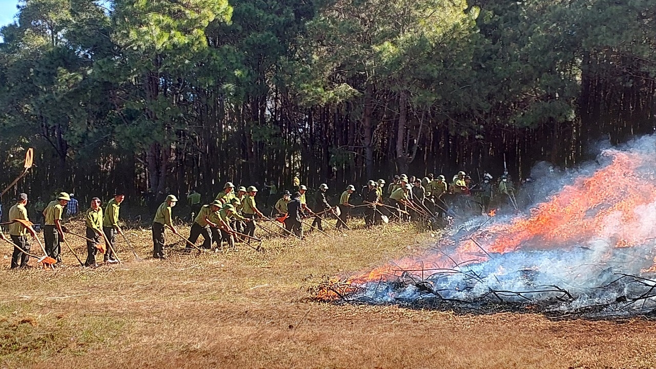 Nhiều địa phương trên địa bàn tỉnh Gia Lai có nguy cơ cháy rất cao