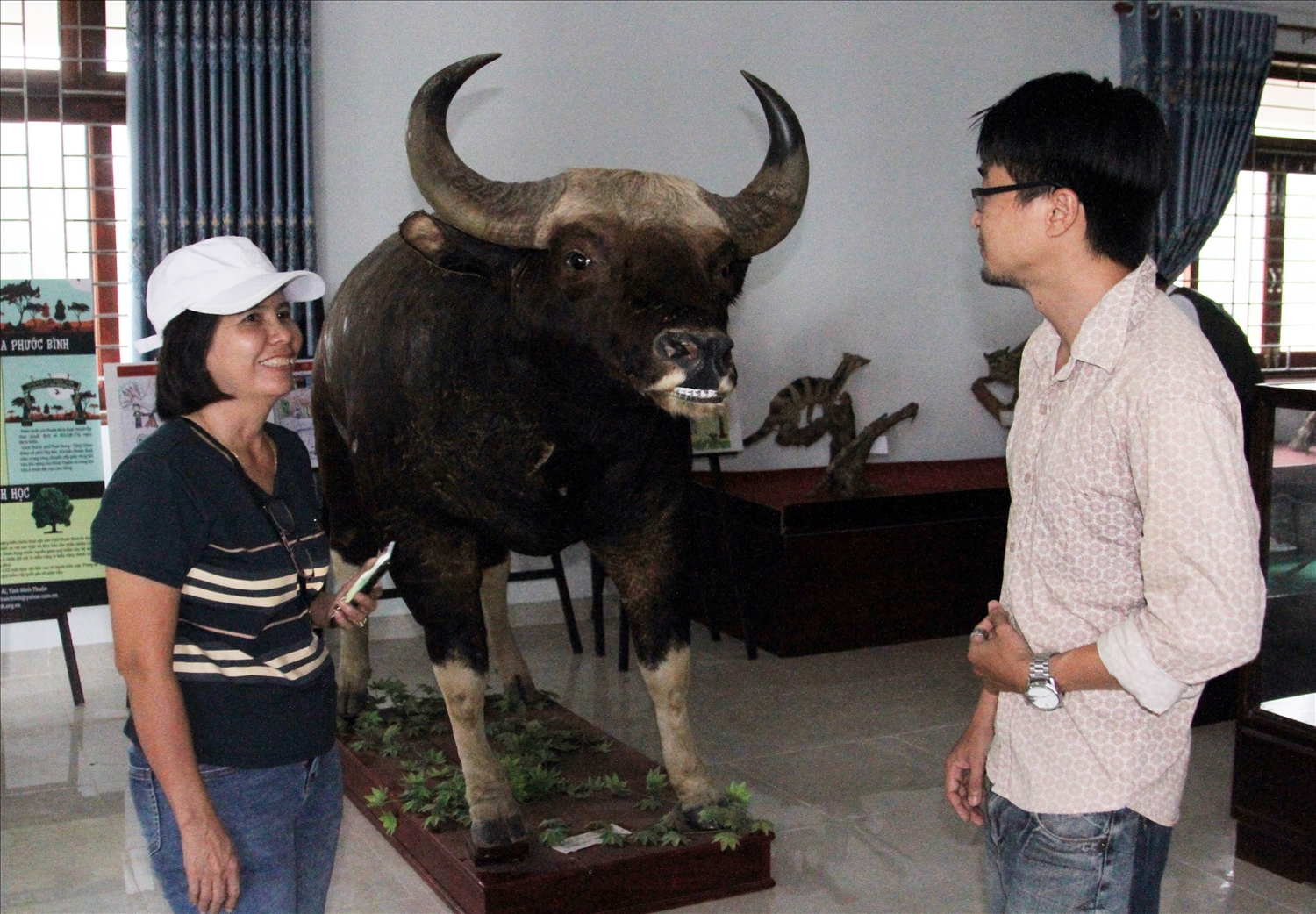 Du khách tham quan tiêu bản bò tót được trưng bày tại Trung tâm Giáo dục môi trường và Dịch vụ môi trường rừng thuộc Vườn Quốc gia Phước Bình