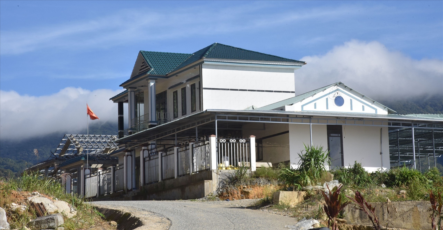 Một “ngôi nhà sâm” ở xã Trà Linh, huyện Nam Trà My