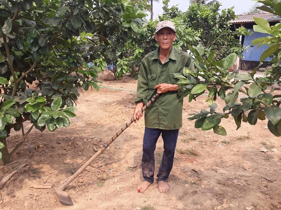 Ông Nguyễn Văn Bảy là một trong những nông dân sản xuất giỏi ở huyện miền núi An Lão