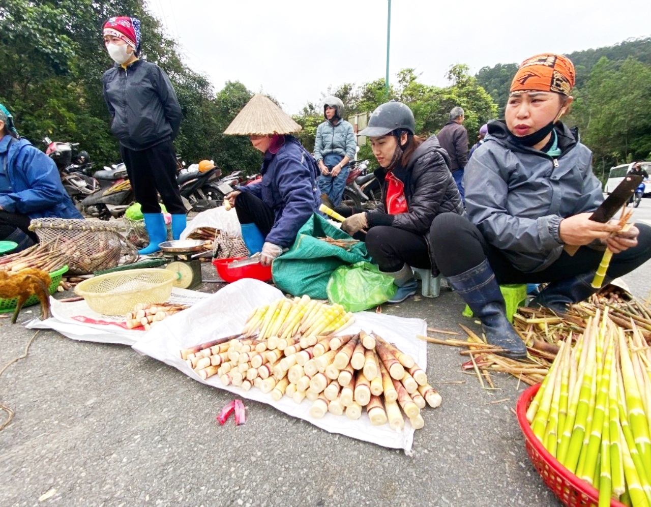 Cứ vào mùa măng rừng cũng chính là lễ hội Xuân Yên Tử giúp cho nhiều người dân khu vực kiếm thêm thu nhập