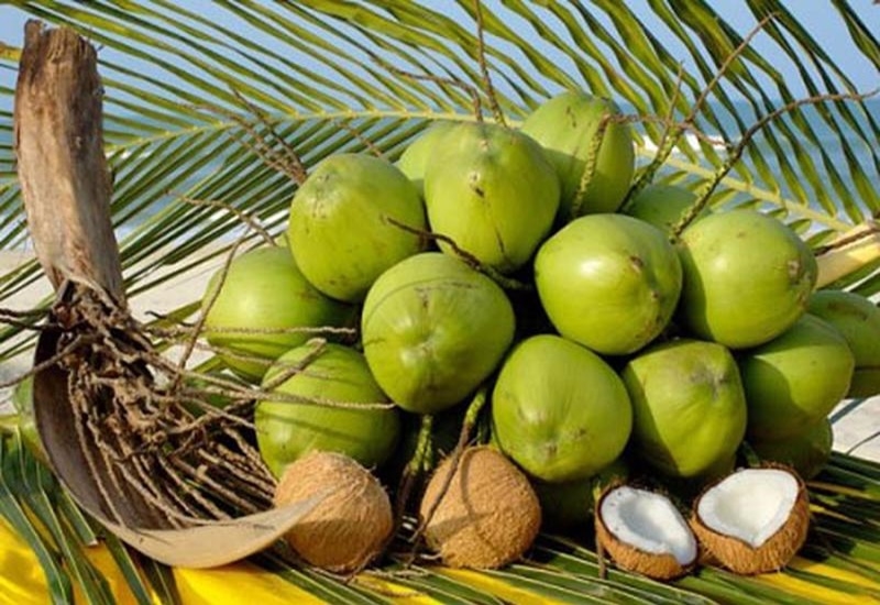 Nước dừa là một loại nước uống thơm ngon, phổ biến được nhiều người yêu thích. Ảnh minh họa