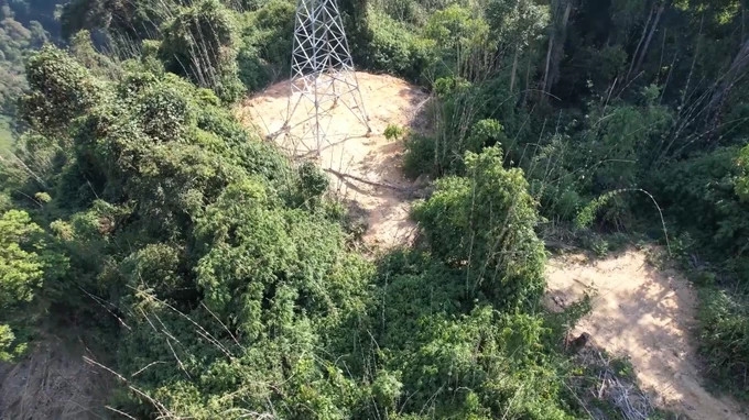 Nhiều diện tích móng trụ đường dây dẫn điện 110kV nằm trong rừng tự nhiên