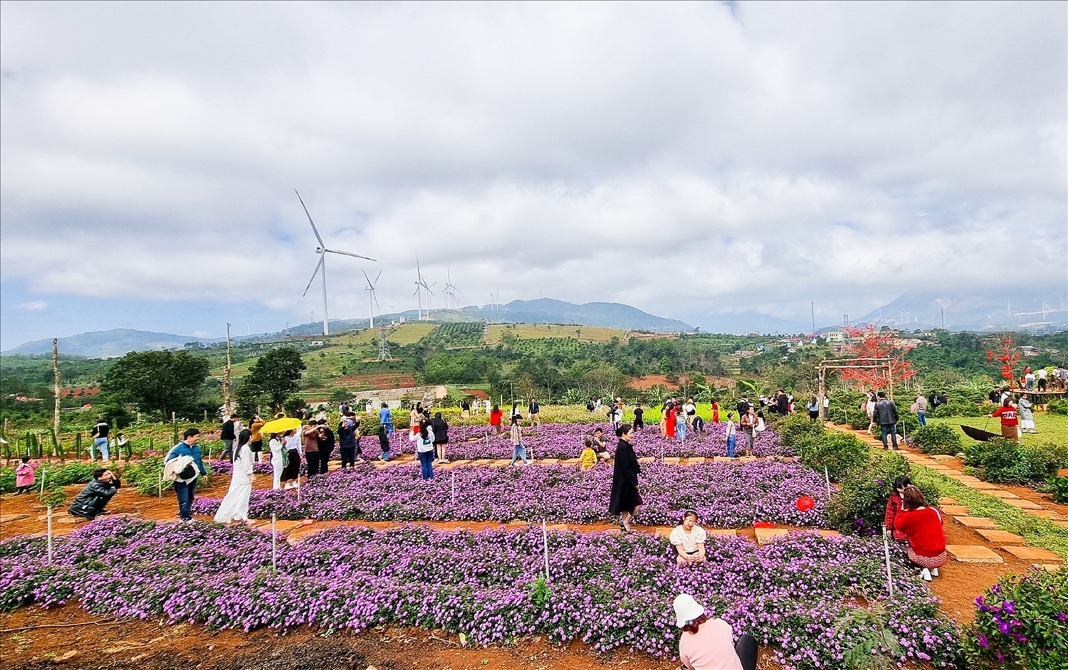Khách tham quan, chụp ảnh lưu niệm tại vườn hoa Chân Trời (thôn Tân Vĩnh, xã Hướng Tân, huyện Hướng Hóa).