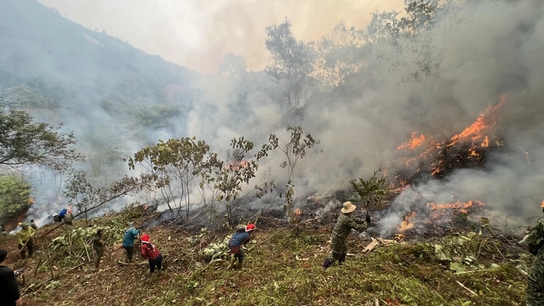 Nhiều tỉnh Tây Bắc nguy cơ cháy rừng cấp nguy hiểm