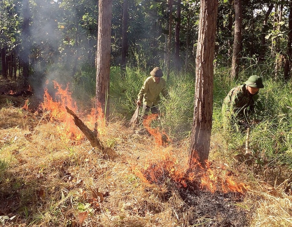 Lực lượng kiểm lâm Vườn Quốc gia Yók Đôn thực hiện các biện pháp phòng cháy, chữa cháy rừng