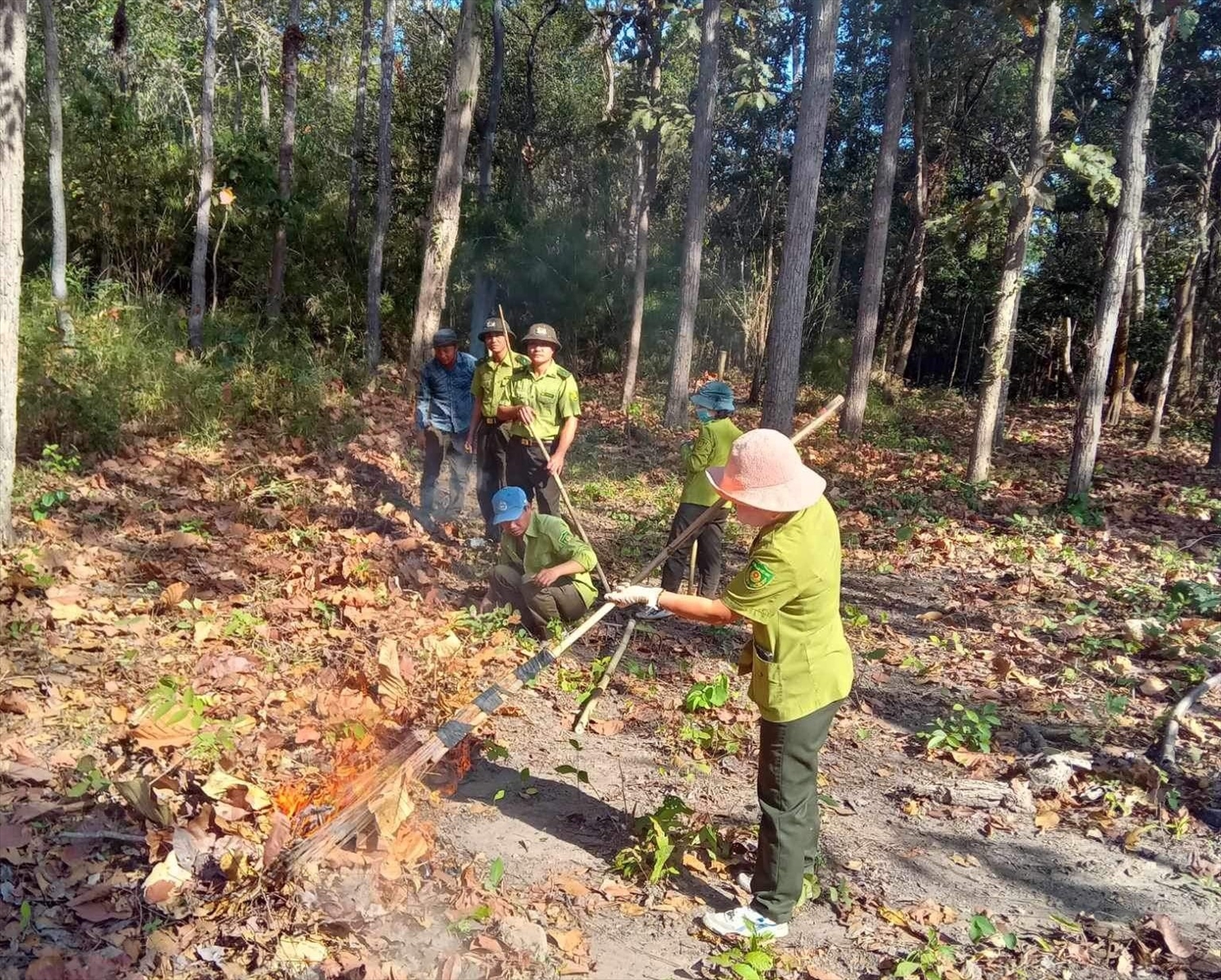 Các đơn vị chủ rừng tập trung sớm triển khai phương án phòng cháy