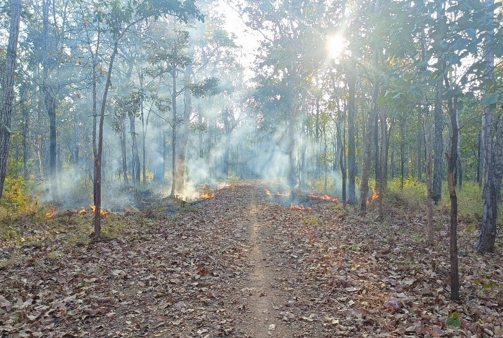 Công tác phòng cháy chữa cháy rừng đang gặp khó khăn do tình hình thời tiết diễn biến phức tạp