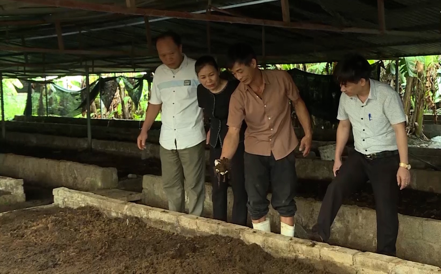 Trang trại tổng hợp của gia đình ông Đỗ Văn Hoan ở thôn Phiến Thôn, xã Cẩm Tân, huyện Cẩm Thủy tạo việc làm cho khoảng 10 lao động ở địa phương