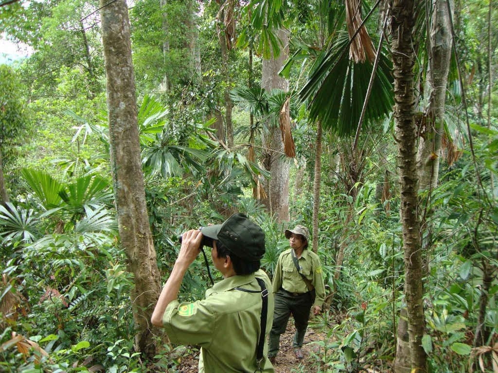 Các ngành chức năng Quảng Ngãi tuần tra bảo vệ rừng