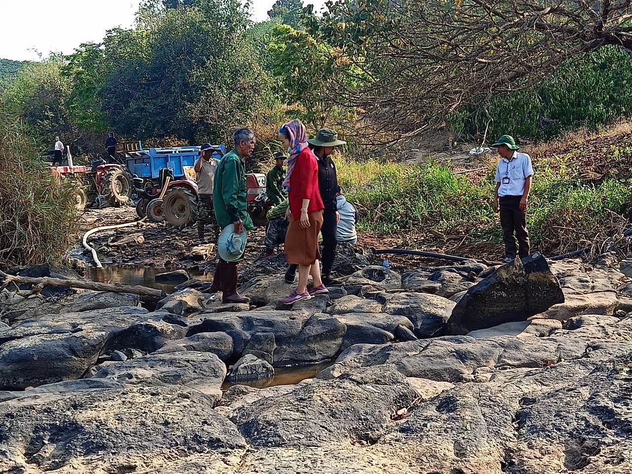Người dân xã Tam Bố, huyện Di Linh đang thiếu nước tưới cho cà phê nghiêm trọng khi nguồn nước suối nắng hạn kéo dài đã cạn kiệt.