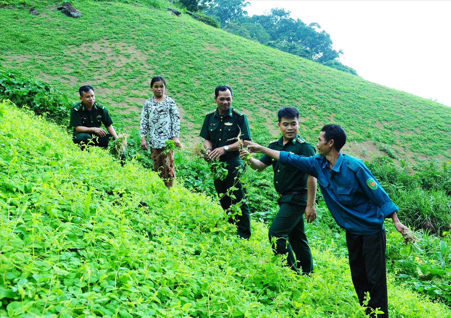 Người dân xã Đăk Nhoong báo cáo kết quả gieo trồng sâm dây theo hướng dẫn của Bộ đội Biên phòng 