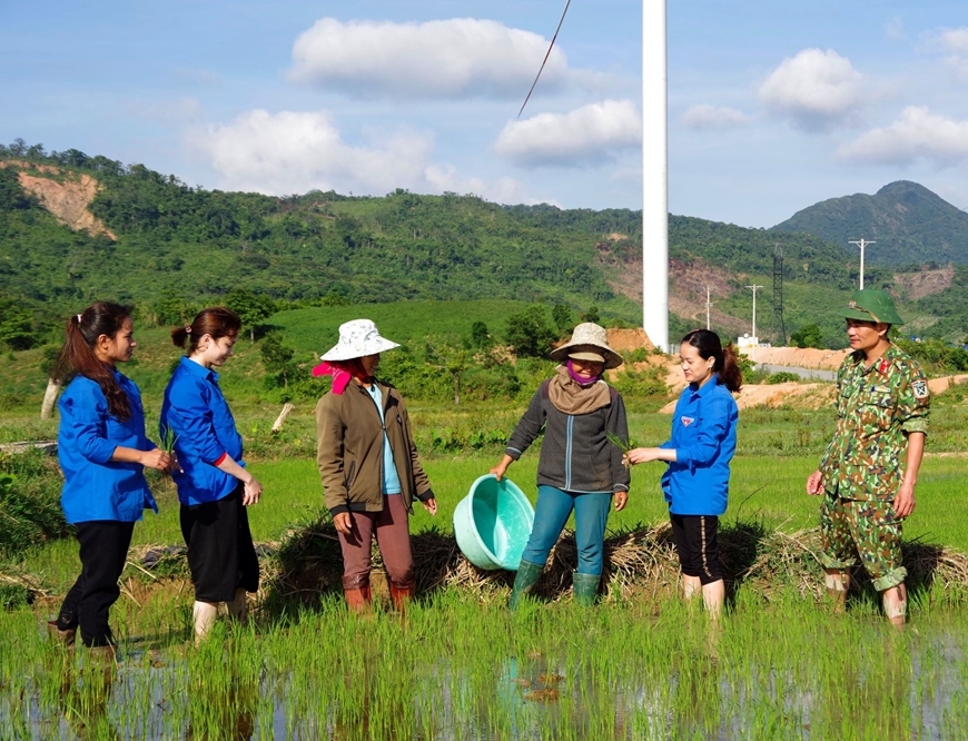 Cán bộ, trí thức trẻ tình nguyện cùng Bộ đội đoàn Kinh tế - Quốc Phòng 337 hướng dẫn bà con huyện Hướng Hóa (Quảng Trị) kỹ thuật trồng, chăm sóc lúa nước. 