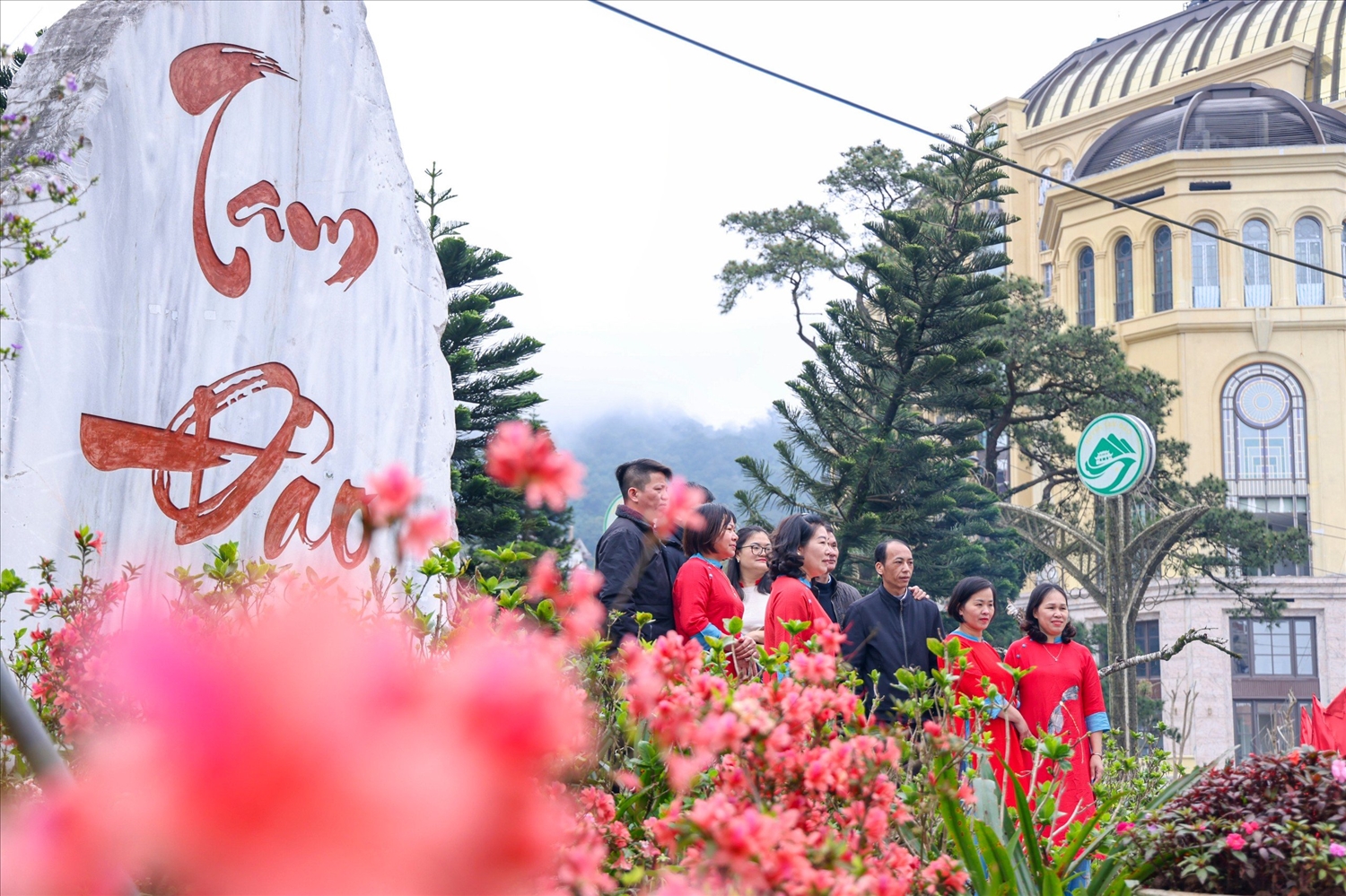 Huyện Tam Đảo đang thúc đẩy các hoạt động giao lưu hợp tác về văn hóa, du lịch, đầu tư, thương mại, bảo tồn và phát huy giá trị cây hoa đỗ quyên.