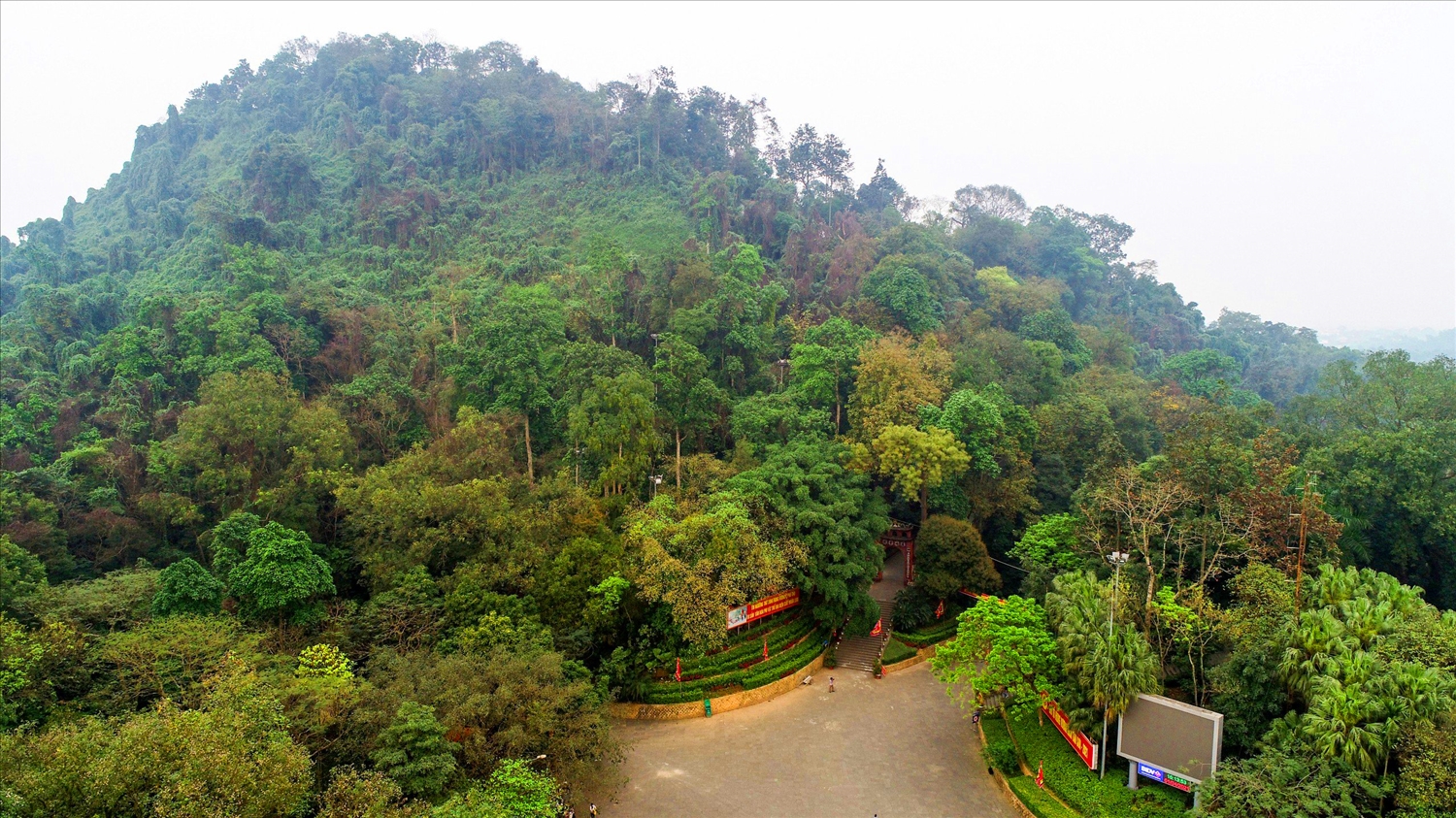 Rừng Quốc gia Đền Hùng được giữ gìn, bảo vệ nghiêm ngặt