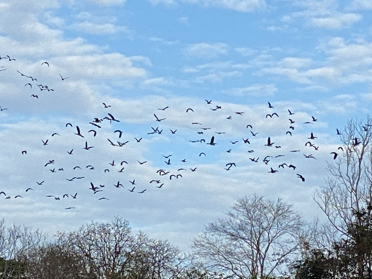 Vườn quốc gia Yok Đôn có hệ chim phong phú với hơn 370 loài