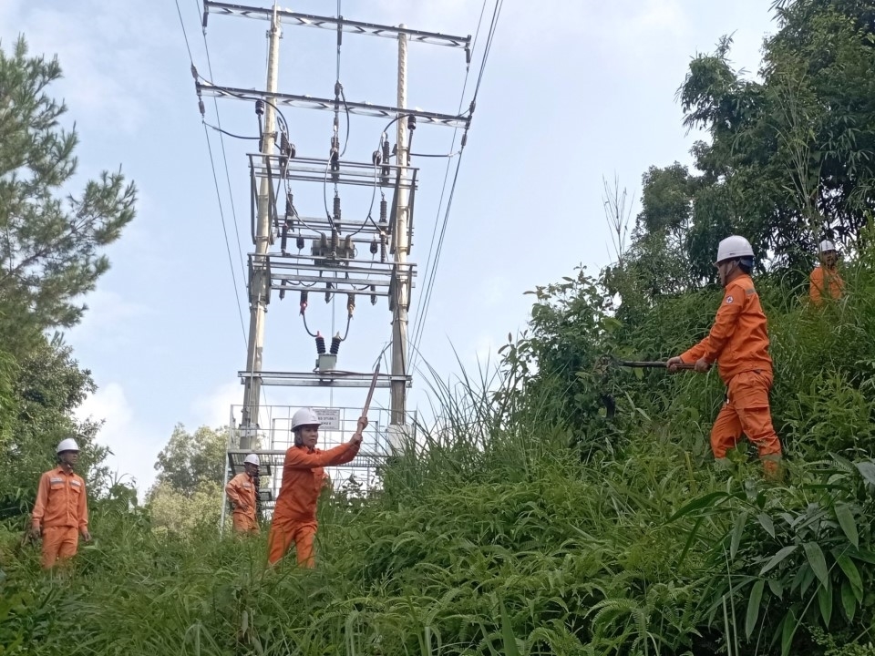 Điện lực Than Uyên_PC Lai Châu ra quân phát quang hàng lang đảm bảo vận hành an toàn lưới điện
