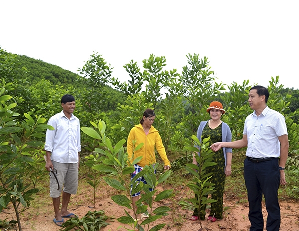 Đồng bào DTTS huyện Bắc Trà My phát triển trồng rừng gỗ lớn nhờ vốn vay theo Nghị định 28.