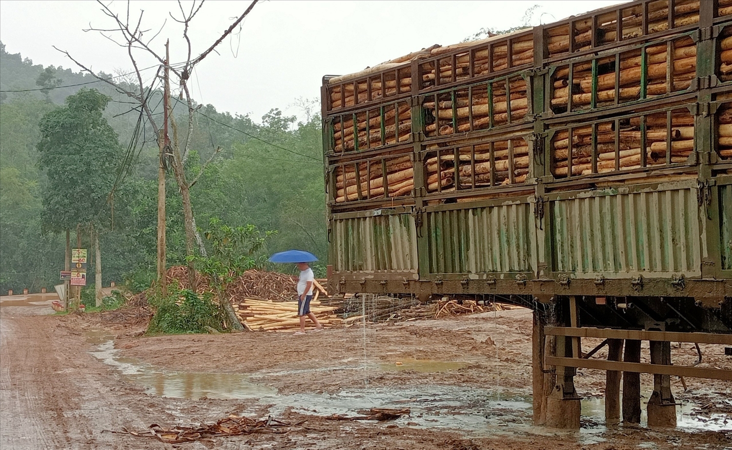 Cơ sở thu mua lâm sản thôn Tú xã Xuân Thắng, huyện Thường Xuân hoạt động xả nước ra môi trường