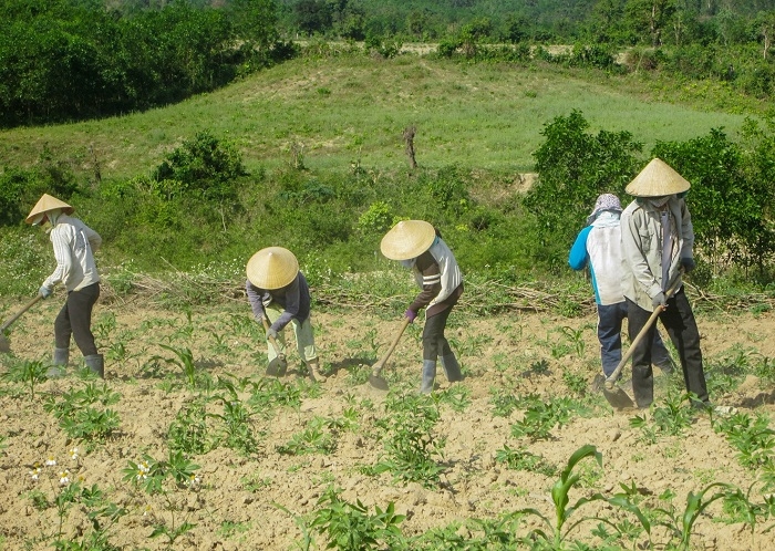 Đồng bào DTTS tại các huyện Hướng Hóa, Đakrông được hỗ trợ về đất sản xuất, từng bước ổn định cuộc sống.