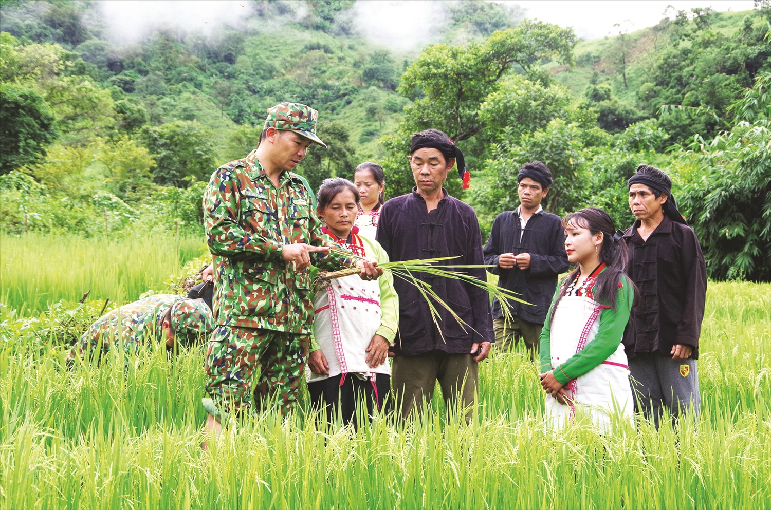 Bộ đội Biên phòng Lai Châu hướng dẫn đồng bào dân tộc Mảng ở xã Nậm Ban, huyện Nậm Nhùn trồng lúa nước.